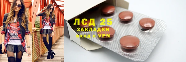 прущие грибы Сосновка