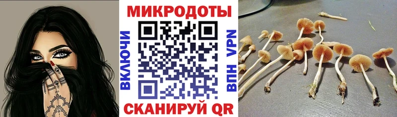 Псилоцибиновые грибы GOLDEN TEACHER  как найти наркотики  Верхний Уфалей 