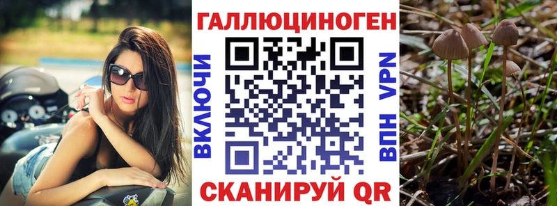 Галлюциногенные грибы Cubensis Верхний Уфалей
